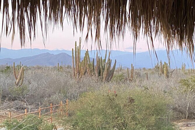 Private Guided Equine Meditation in Baja California - FAQs