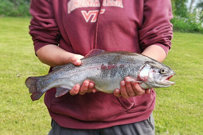 Private Guided Fishing Boat Tour in Rovaniemi - The Sum Up