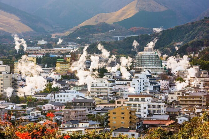 Private Guided Full Day Usa Shrine and Jigoku tour - FAQ