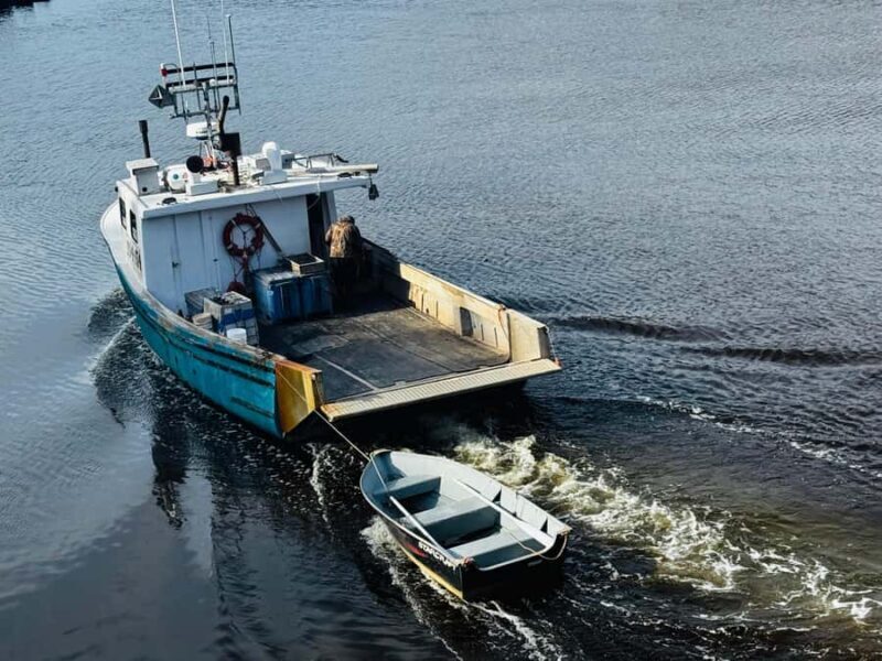 Private Guided Fundy Tour in Saint John - The Sum Up