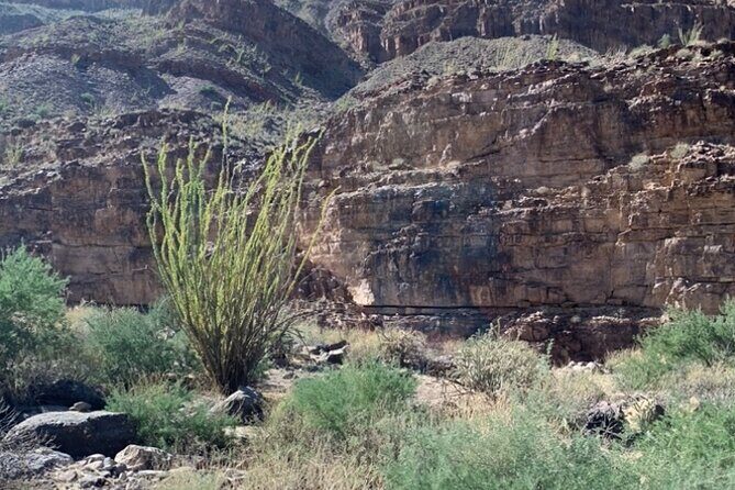 Private Guided Grand Canyon Tour in Arizona - An In-Depth Look at the Private Grand Canyon Tour