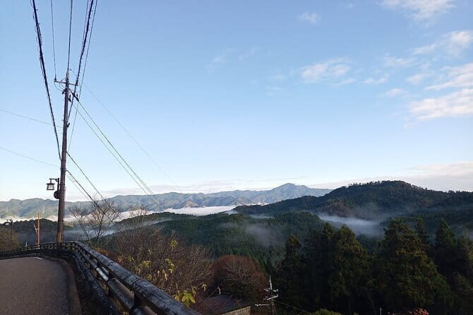 Private Guided Half-Day Walking Tour in Yoshinoyama - Detailed Breakdown of the Itinerary