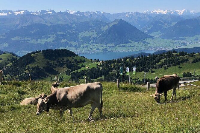 Private Guided Hike on Mt. Rigi with Farm Visit and BBQ - Practical Details and Final Thoughts