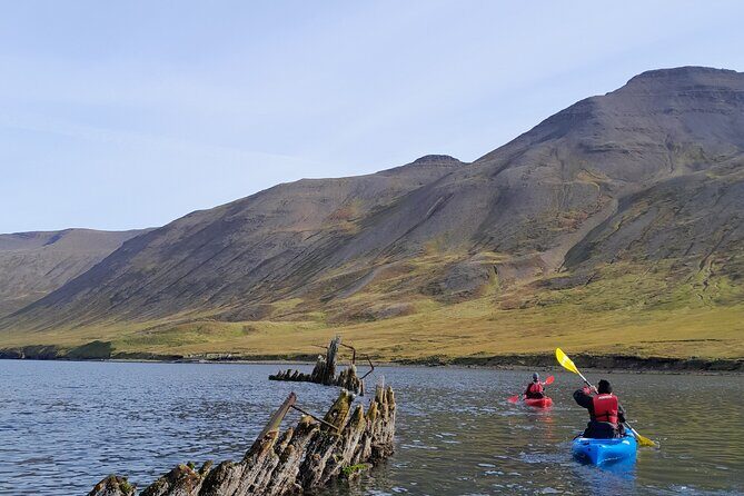 Private: Guided kayak tour in Siglufjörður / Siglufjordur. - An In-Depth Look at the Siglufjörður Kayak Tour