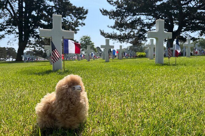 Private Guided Mont Saint Michel & D-day tour from Paris - The Guide & Overall Experience