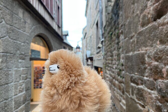 Private Guided Mont Saint Michel & D-day tour from Paris - Who Should Consider This Tour?