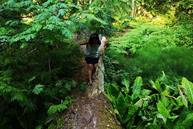 Private Guided Rainforest Hike in Victoria - Why Choose This Tour?