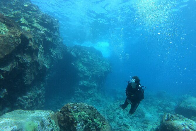Private Guided Shore Dive - The Practicalities