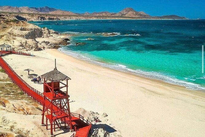 Private Guided Snorkeling Experience in Cabo Pulmo - Key Points