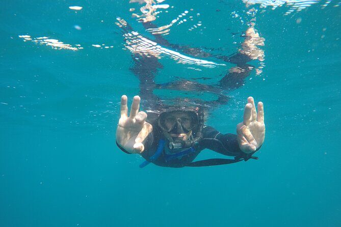 Private Guided Snorkeling in Cabo San Lucas - Who Is This Tour Best For?