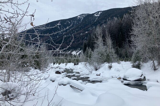 Private Guided Snowshoe Adventure in Glacier National Park - Who Will Love This Tour?
