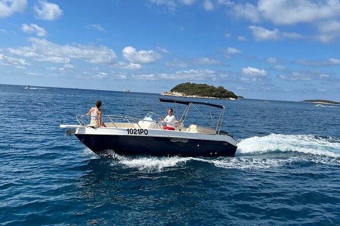 Private Guided Sunset Dolphin Watching in Adriatic Sea - The Return Journey: Relaxed and Satisfied