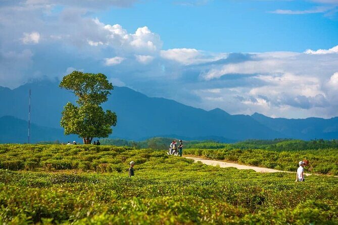 Private Guided Tour: A Spring Day in Dong Giang from Da Nang - Key Points