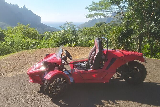 Private Guided Tour around the Moorea Island - Key Points