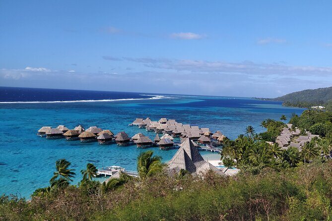 Private Guided Tour around the Moorea Island - What to Expect from the Experience