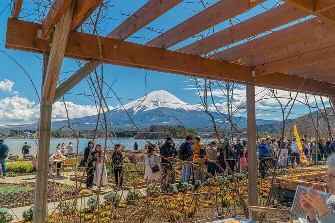 Private Guided Tour at Mount Fuji Majesty - Key Points