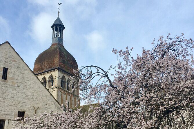 Private guided tour - Beaune 2h - Authentic Experiences & Local Knowledge