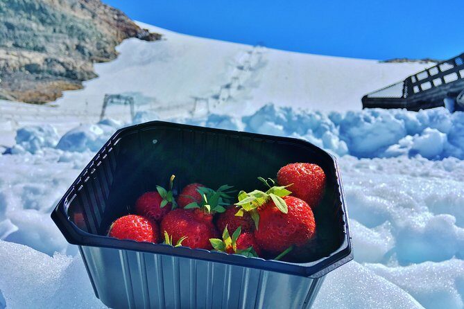 PRIVATE GUIDED TOUR: Folgefonna Glacier roundtrip from Bergen, 8 hours - Practicalities and Value