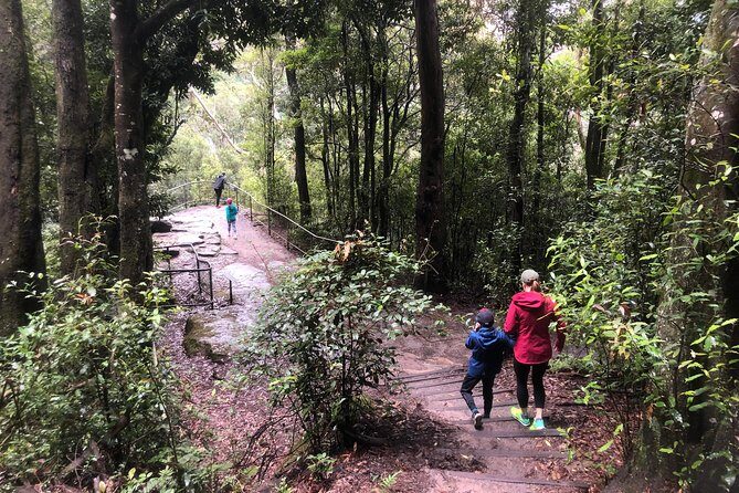 Private Guided Tour from Sydney to Blue Mountains National Park - The Sum Up