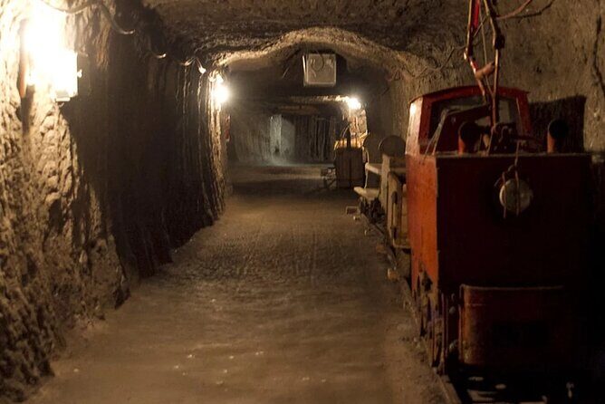 Private guided tour from Vienna to Hallstatt with Skywalk & Salt Mine Experience - Who Is This Tour Best For?