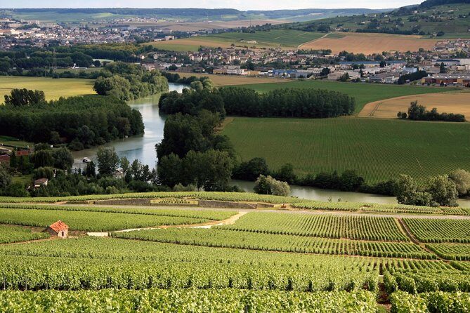 Private Guided Tour in Champagne from Paris with Moet&Chandon visit. - An In-Depth Look at the Tour Itinerary