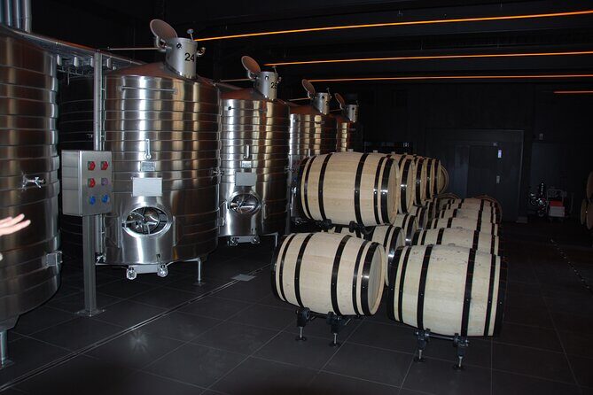 Private Guided Tour in Champagne from Paris with Moet&Chandon visit. - FAQ