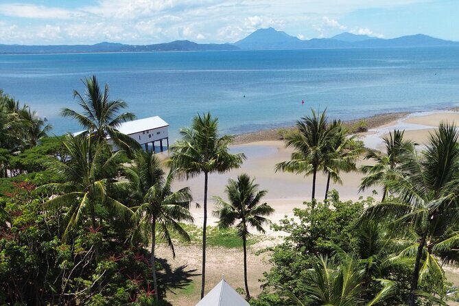 Private Guided Tour in Port Douglas and Surrounds - An In-Depth Look at the Private Guided Tour in Port Douglas