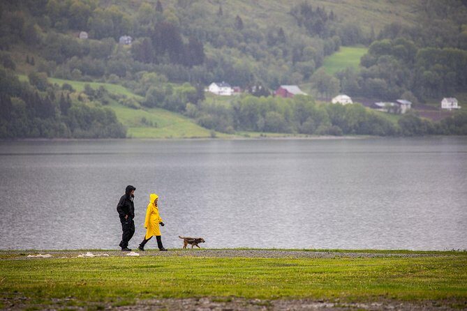PRIVATE GUIDED TOUR: Norway's Highlights  Viking Special, 11-12 hours  SUMMER - An In-Depth Look at the Tour Itinerary
