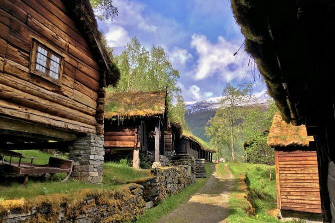 PRIVATE GUIDED TOUR: Norway's Highlights  Viking Special, 11-12 hours  SUMMER - Final Thoughts: Who Should Consider This Tour?
