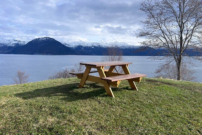 Private Guided Tour of Bergen and the Best of Norwegian Fjords - A Deep Dive into the Itinerary and What Youll Experience