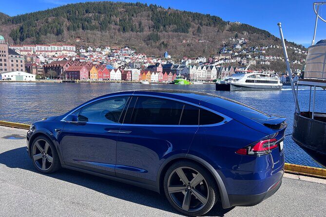 Private Guided Tour of Bergen and the Best of Norwegian Fjords - FAQ