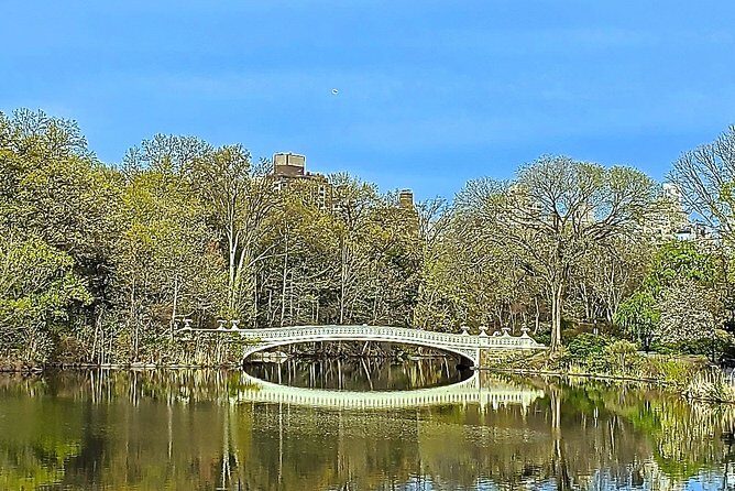 Private Guided Tour of Central Park - Setting the Scene: What to Expect on the Tour