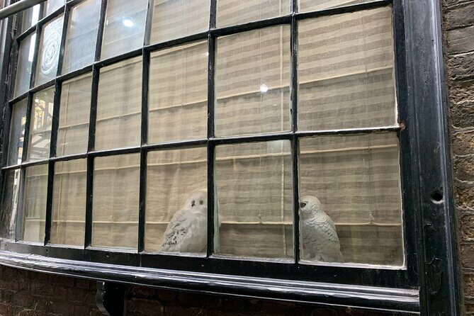 Private Guided Tour of Harry Potter Locations - English/ Italian - Who Will Love This Tour?