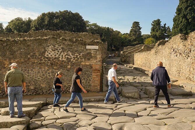 Private Guided Tour of Pompeii with Lunch in Winery - Scenic Shuttle and the Winery Experience