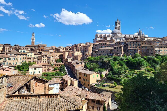 Private Guided Tour of Siena with a Licensed Local Tour Guide - Who Should Consider This Tour?