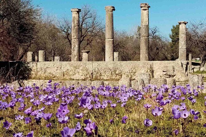 Private Guided Tour of the Archaeological Site and Museum of Olympia - Key Points