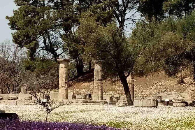 Private Guided Tour of the Archaeological Site and Museum of Olympia - A Deep Dive into the Olympia Tour Experience