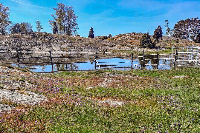 Private Guided Tour on Lake Vänern - Authenticity and Experience: What Travelers Are Saying