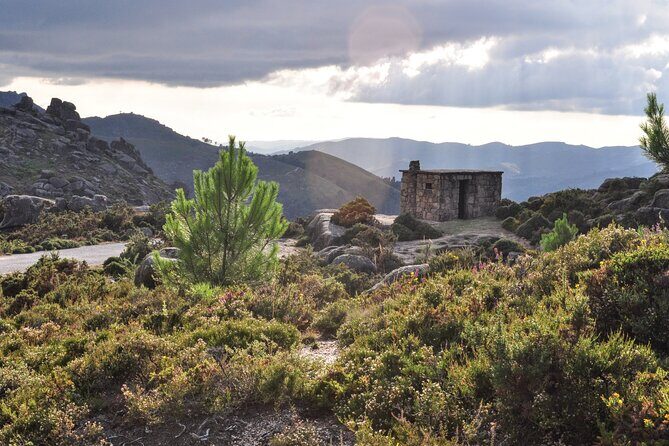 Private Guided Tour - Peneda Gerês National Park - Exploring the Wonders of Peneda-Gerês National Park with a Private Guide