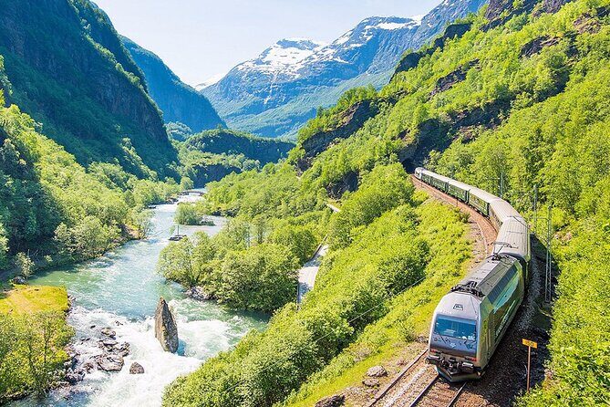 Private guided tour - Premium Nærøyfjord Cruise and Flåm Railway - Key Points