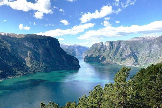 Private guided tour - Premium Nærøyfjord Cruise and Flåm Railway - The Sum Up: Is This Tour Worth It?