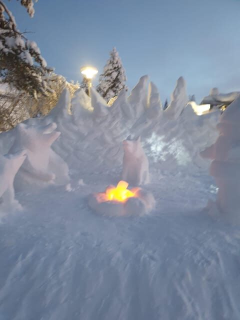 Private Guided Tour Rovaniemi To Kakslauttanen /Saariselka - The Value and Who It’s Best For