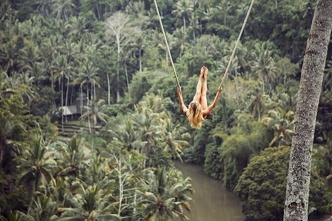 Private Guided Tour: The Best Of Ubud With Jungle Swing - A Deep Dive into the Ubud Tour Experience