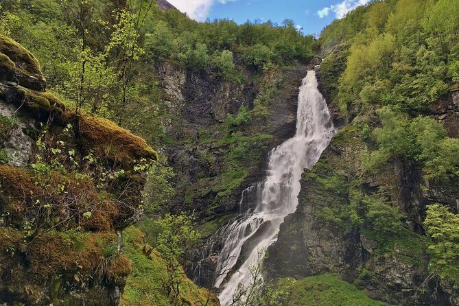 PRIVATE GUIDED TOUR: The Heart of Norway  Viking Special, 8-9 hours  SUMMER - What Travelers Are Saying