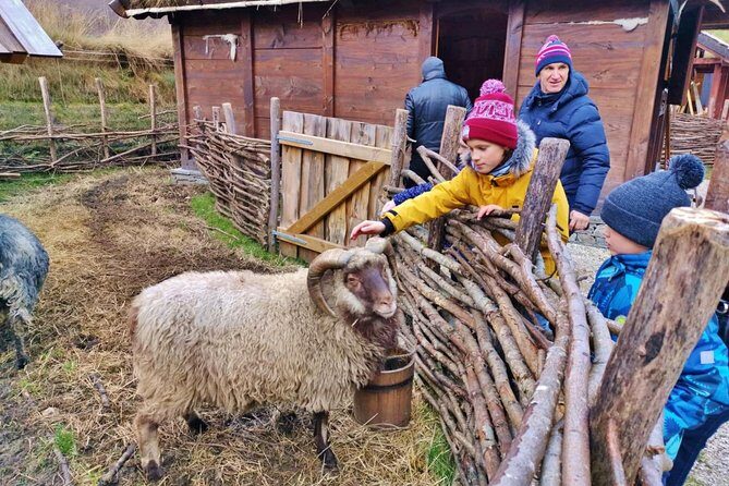 PRIVATE GUIDED TOUR: The Heart of Norway Viking Special, 8-9 hours WINTER - The Sum Up