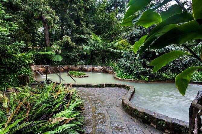 Private Guided Tour to Furnas and thermal baths. - A Deep Dive Into the Experience