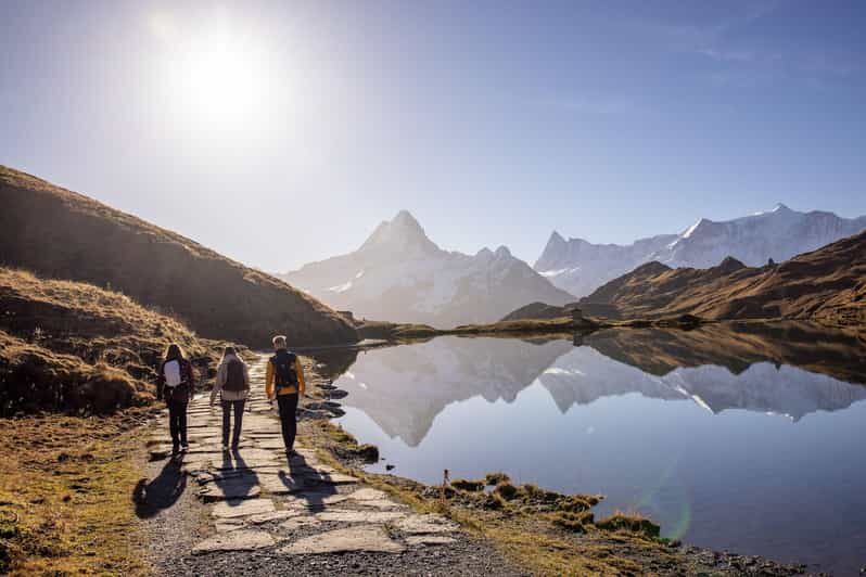 Private Guided Tour to Grindelwald First from Zurich - Key Points