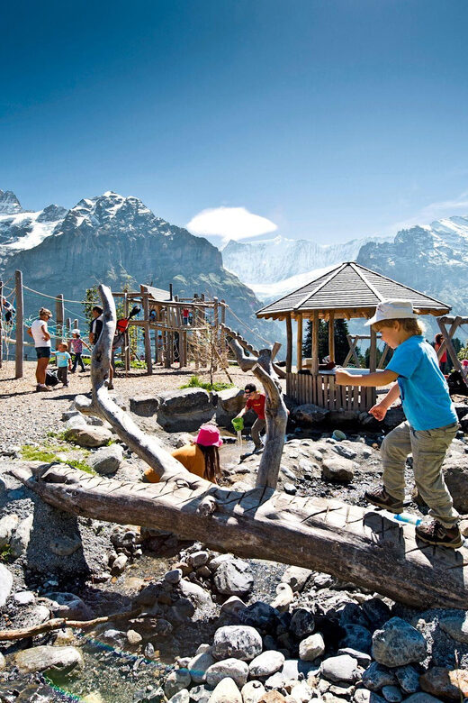 Private Guided Tour to Grindelwald First from Zurich - An In-Depth Look at the Experience