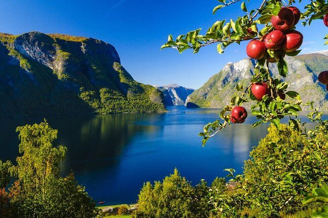 Private guided tour to Oslo - Nærøyfjord Cruise & Flåm Railway - Who Will Love This Tour?