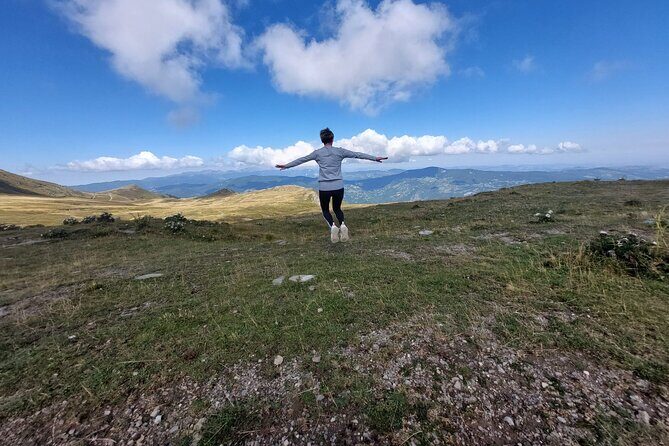 Private Guided Tour to Pisa and local Wine Farm from Livorno port - Why This Tour Offers Great Value